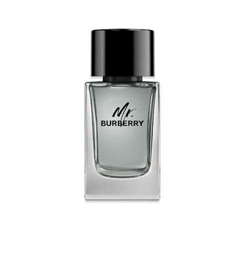 mr burberry 1.6 oz